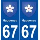 67 Haguenau blason autocollant plaque stickers ville