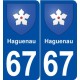 67 Haguenau blason autocollant plaque stickers ville
