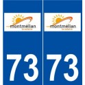 73 Montmélian logo autocollant plaque stickers ville