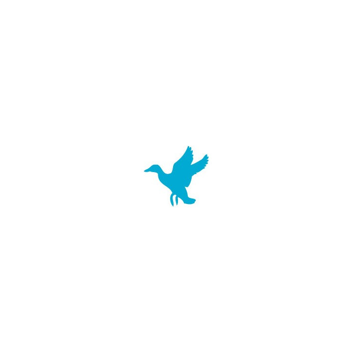Autocollant canard oiseau duck stickers adhesif