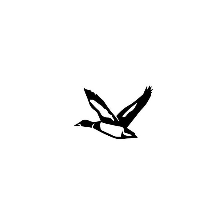 Autocollant Canard colvert oiseau stickers adhesif