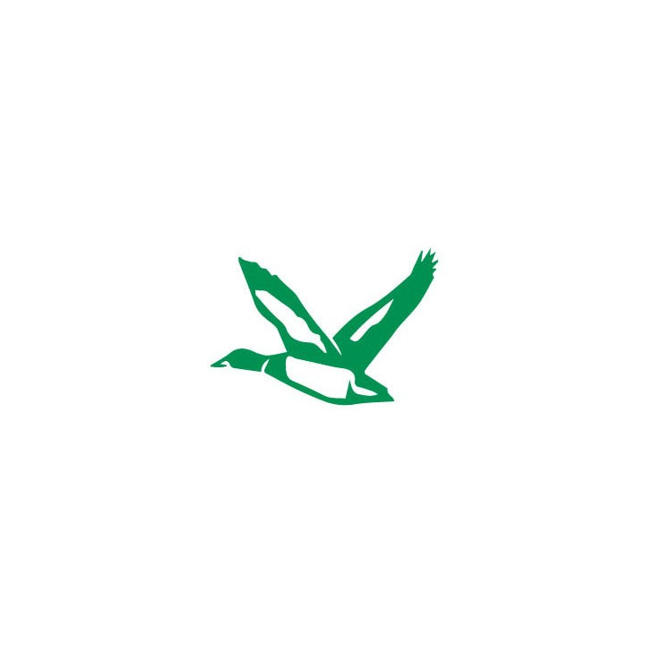 Autocollant Canard colvert oiseau stickers adhesif