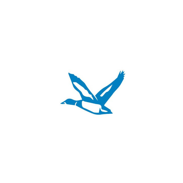 Autocollant Canard colvert oiseau stickers adhesif