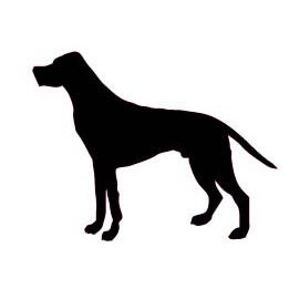 Autocollant Chien stickers adhesif