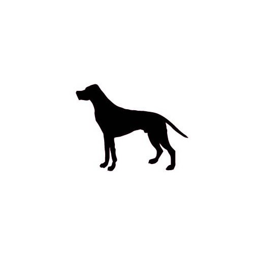 Autocollant Chien stickers adhesif