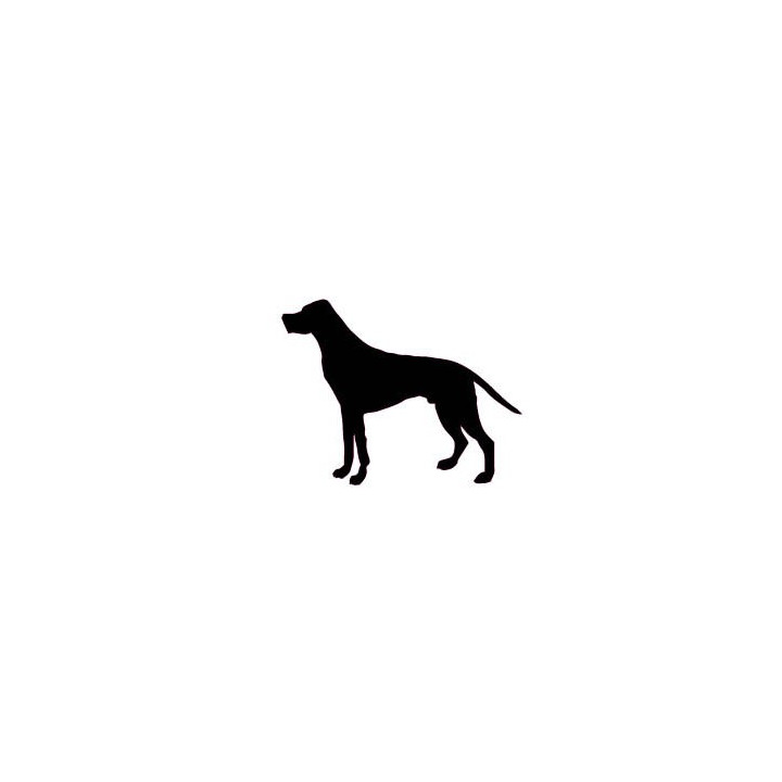 Autocollant Chien stickers adhesif