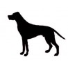 Autocollant Chien stickers adhesif