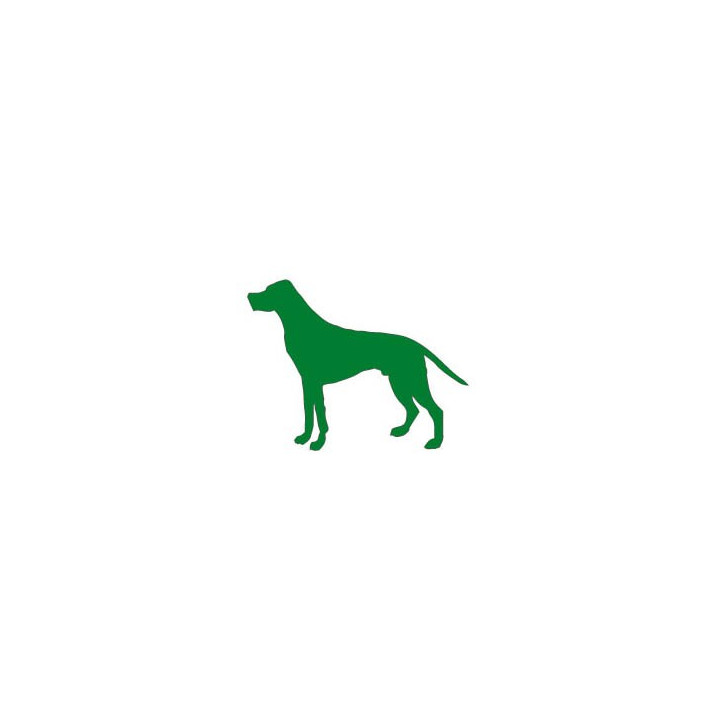 Autocollant Chien stickers adhesif