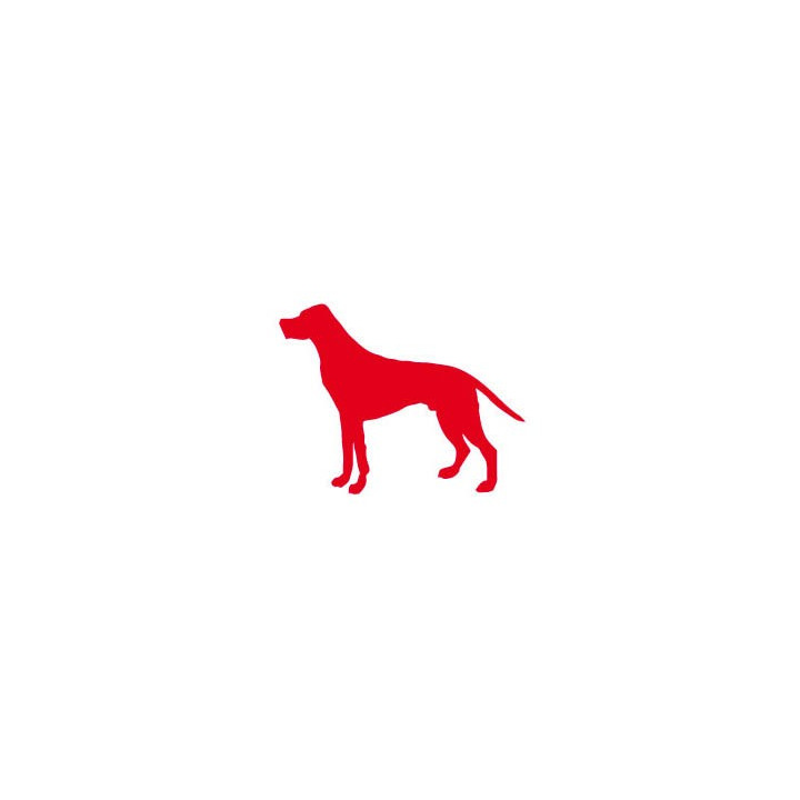 Autocollant Chien stickers adhesif