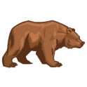 Adesivo marrone bear adesivi logo 1-1 adesivo