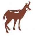 Sticker, Chamois Izard Chamois animal stickers adhesive