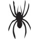 Autocollant sticker araignée spider noir