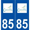 85 Chantonnay logo autocollant plaque stickers ville