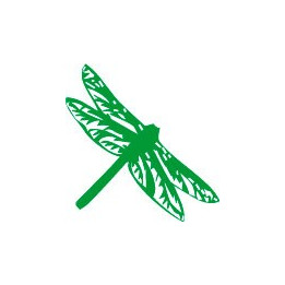 Autocollant libellule stickers couleur