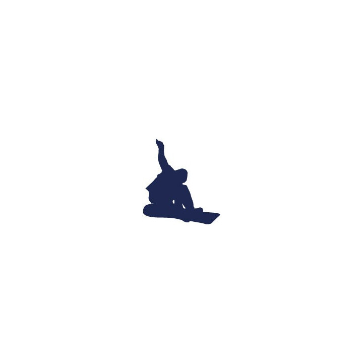 Autocollant snowboard sticker ski couleur