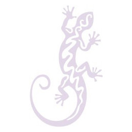 Salamandre autocollant sticker adhésif couleur lézard
