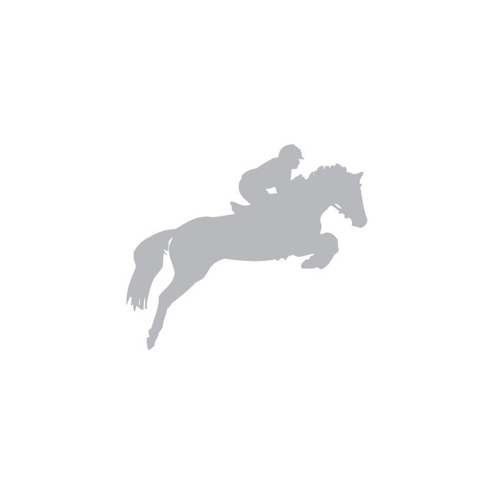 Autocollant Cheval stickers adhesif horse cavalier gris
