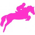Decal Horse stickers adhesive horse jumper pink