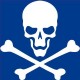 Autocollant tête de mort skull sticker