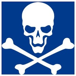 Autocollant tête de mort skull sticker