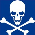 Autocollant tête de mort skull sticker