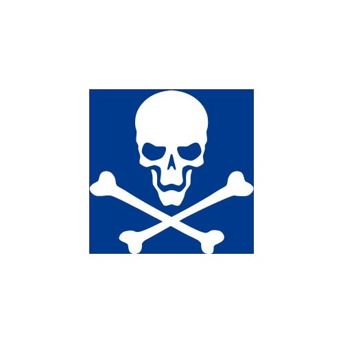 Autocollant tête de mort skull sticker