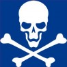 Autocollant tête de mort skull sticker