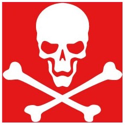 Autocollant tête de mort skull sticker