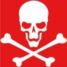 Autocollant tête de mort skull sticker
