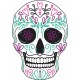 Tête mort skull couleur autocollant sticker adhesif