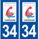 34 Capestang logo ville autocollant plaque stickers