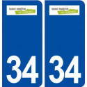 34 Saint Martin de Londres logo ville autocollant plaque stickers
