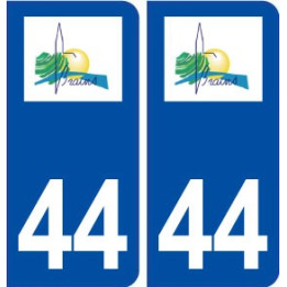 44  Brains logo ville autocollant plaque stickers