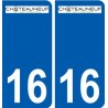 16 Châteauneuf sur Charente logo ville autocollant plaque sticker