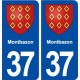 37 Montbazon blason ville autocollant plaque stickers