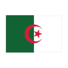 Autocollant Drapeau Algeria sticker