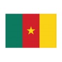 Autocollant Drapeau Cameroon Cameroun sticker flag