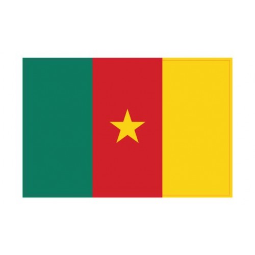 Autocollant Drapeau Cameroon Cameroun sticker flag