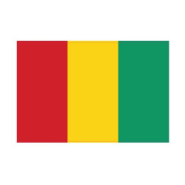 Autocollant Drapeau Guinea Guinéee sticker flag