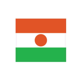 Autocollant Drapeau Niger sticker flag