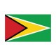 Autocollant Drapeau Guyana Guyane sticker flag