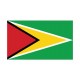 Autocollant Drapeau Guyana Guyane sticker flag