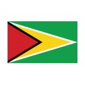 Autocollant Drapeau Guyana Guyane sticker flag