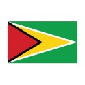Autocollant Drapeau Guyana Guyane sticker flag