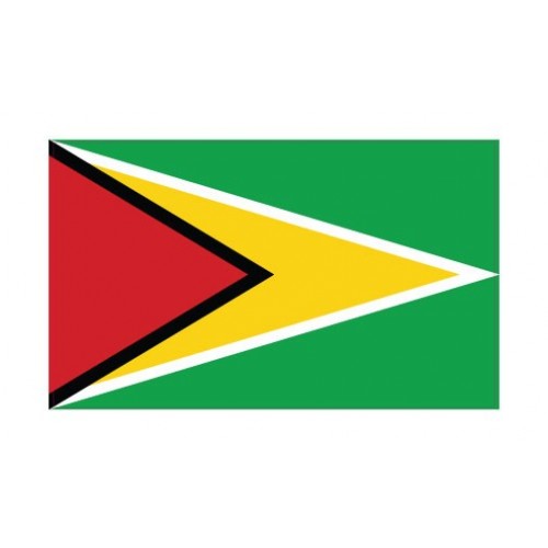 Autocollant Drapeau Guyana Guyane sticker flag