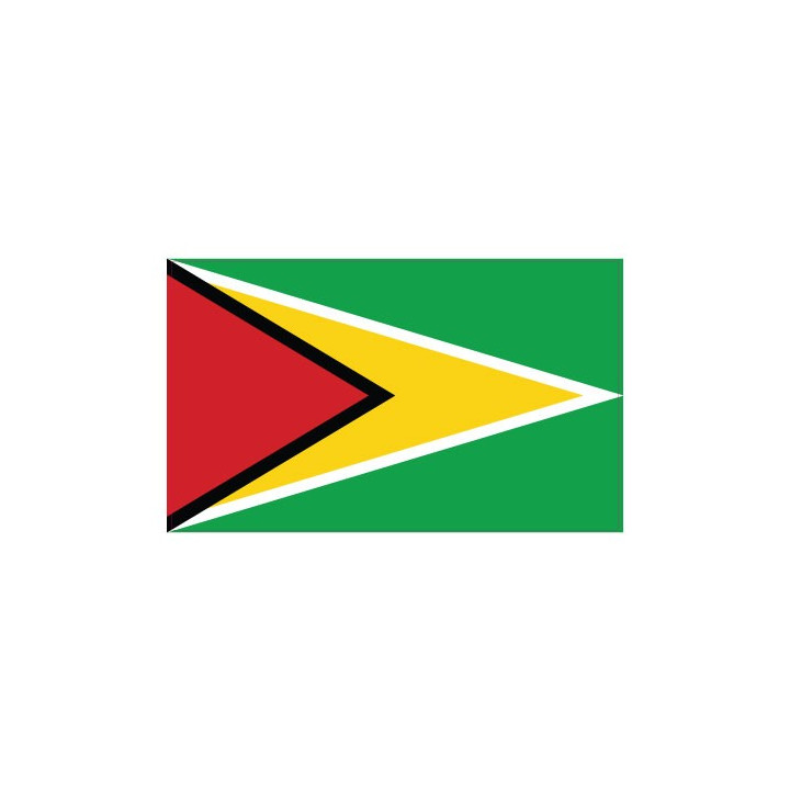 Autocollant Drapeau Guyana Guyane sticker flag