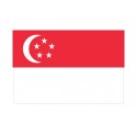 Autocollant Drapeau Singapore Singapour sticker flag