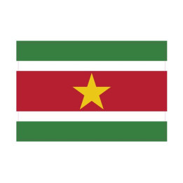 Autocollant Drapeau Suriname sticker flag