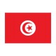 Autocollant Drapeau Tunisia Tunisie sticker flag