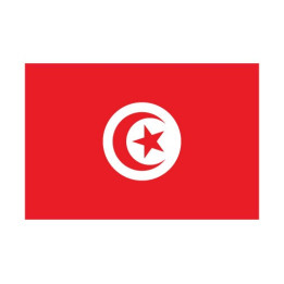 Autocollant Drapeau Tunisia Tunisie sticker flag